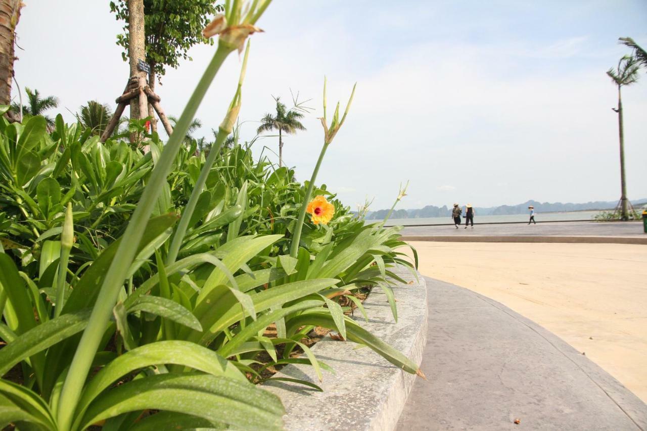 Kp Relax Halong Homestay Nan Giang Екстер'єр фото